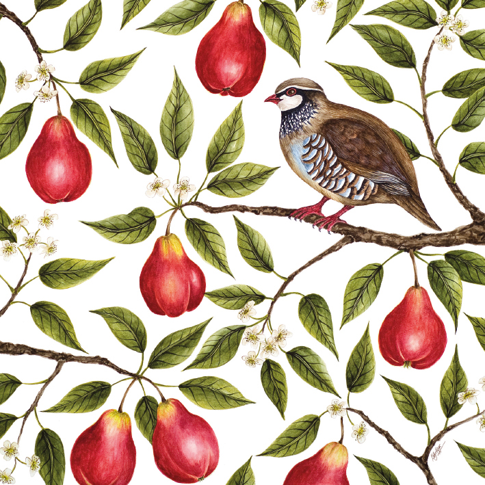 Partridge in a Pear Tree Christmas Card Pack (5)