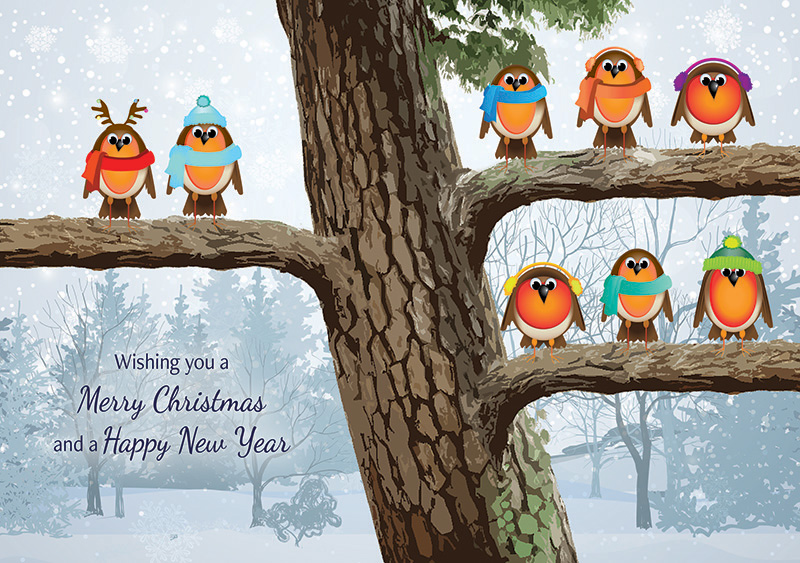 Robin Team Personalised Christmas Card
