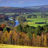North Tyne Valley in Autumn Greeting Card