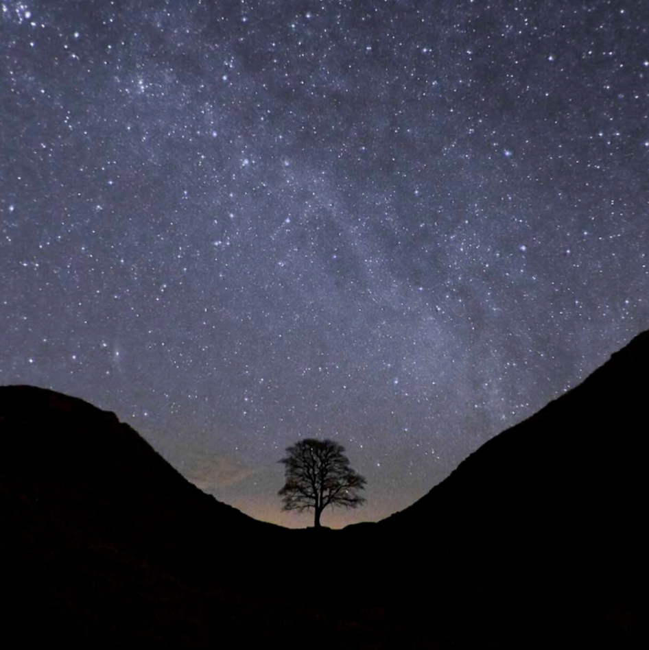 Sycamore Gap Greeting Card