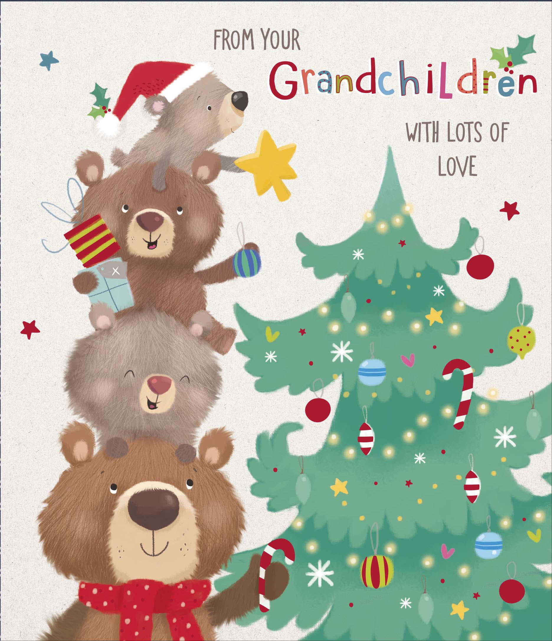 From Your Grandchildren Christmas Card