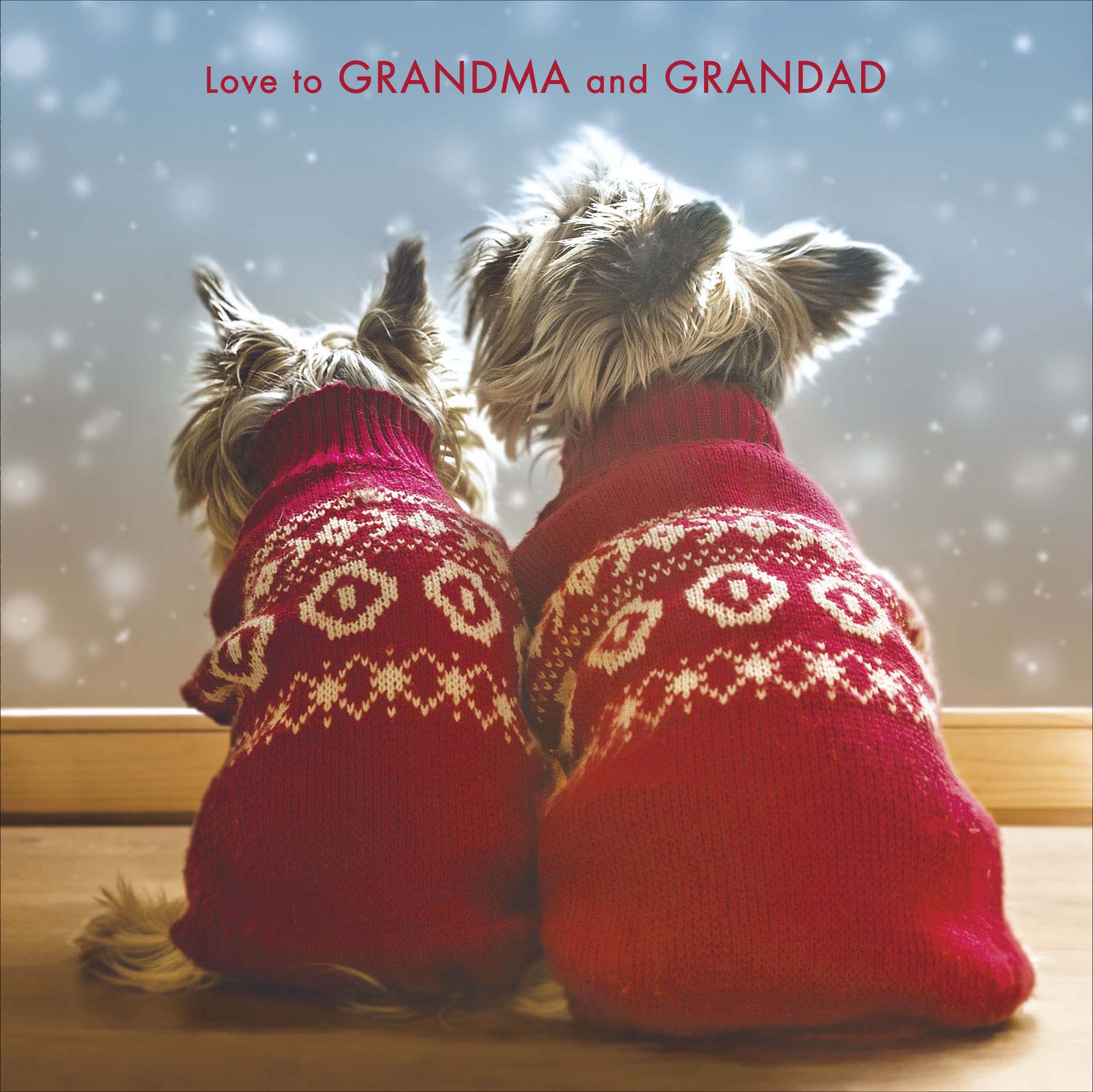 Dogs Grandma and Grandad Christmas Card