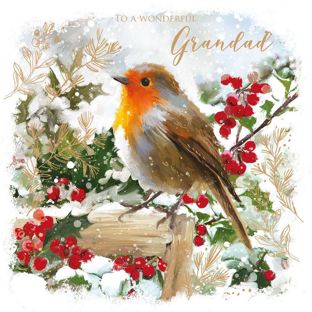 Robin Grandad Christmas Card