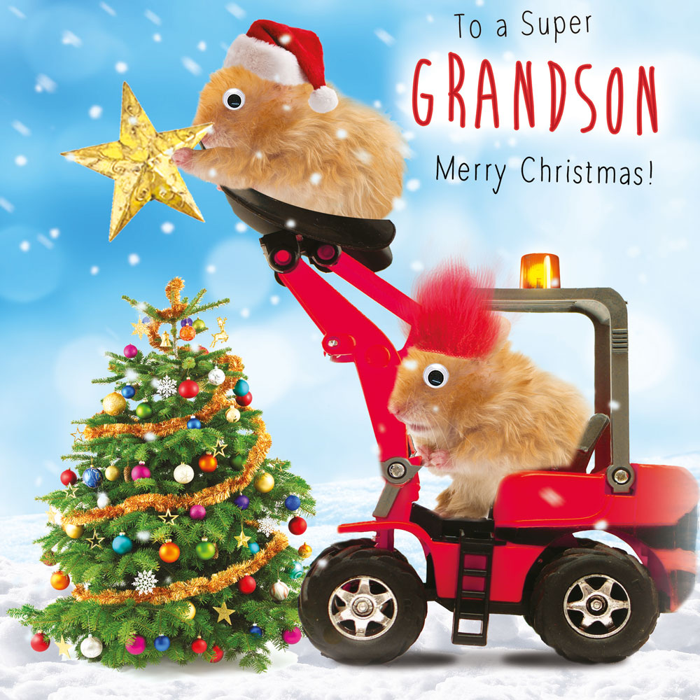 Hamster Fun Grandson Christmas Card