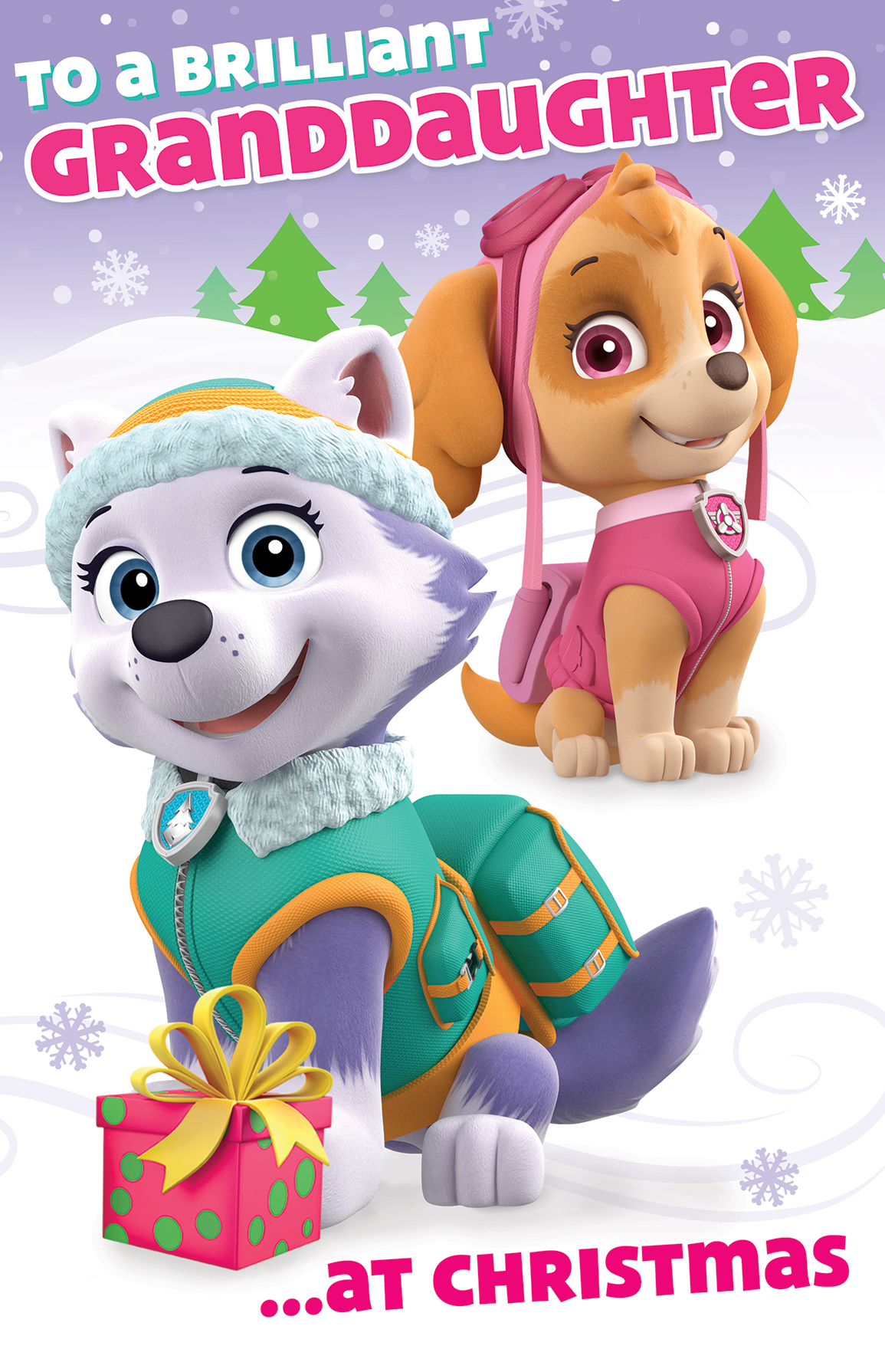 Paw Patrol Granddaughter Christmas Card