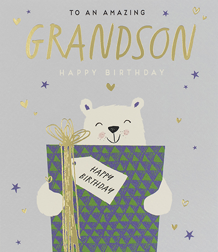Bear Grandson Birthday Card