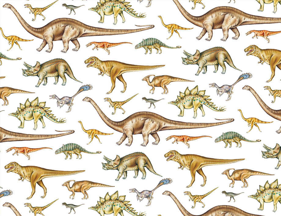 Dinosaur Wrapping Paper