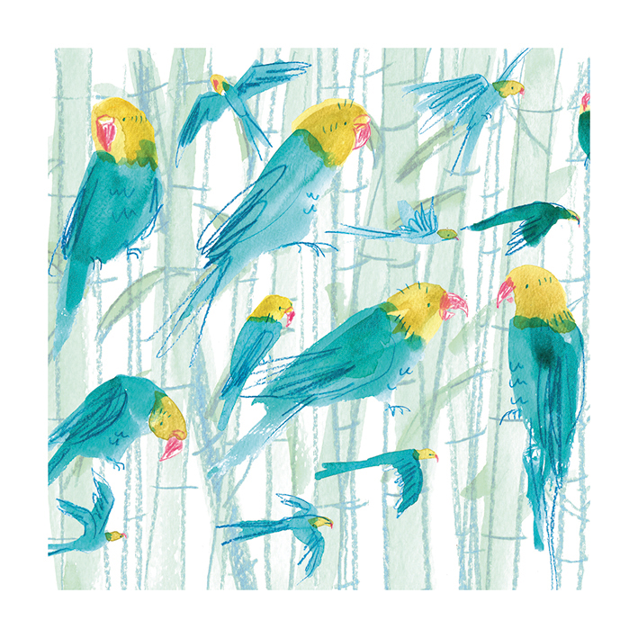 Parakeets and Bamboo Greeting Card