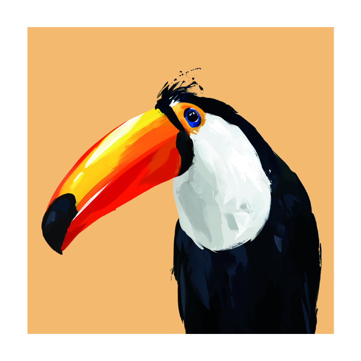 Toucan Greeting Card