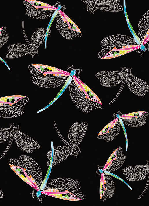 Dragon Flies Greeting Card