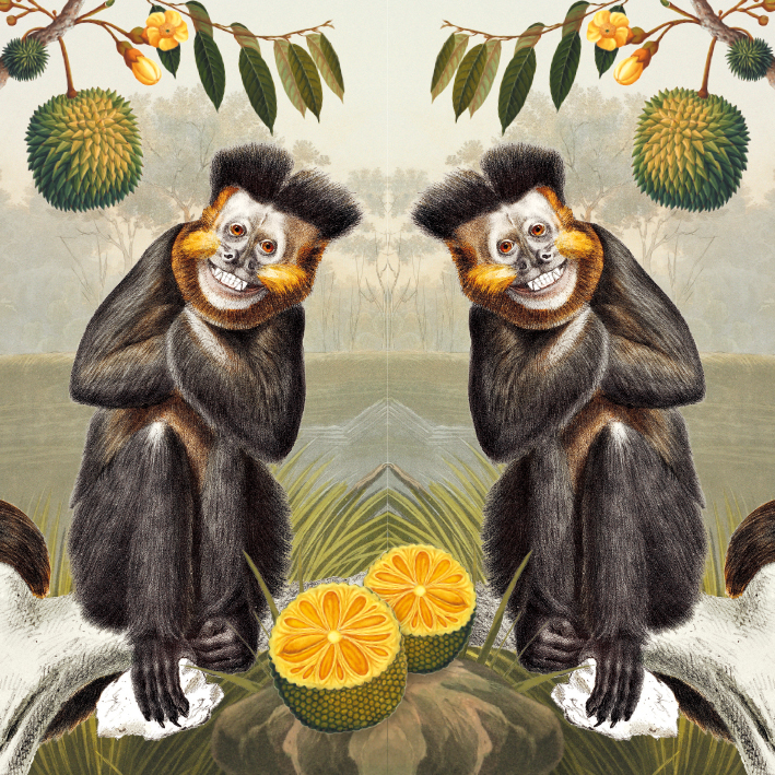 Capuchin Monkey Greeting Card