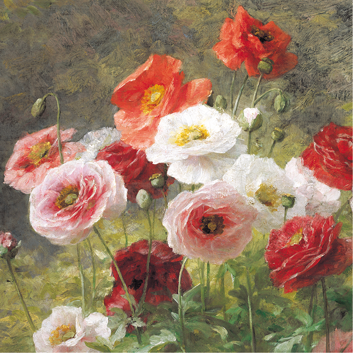 Poppies Greeting Card