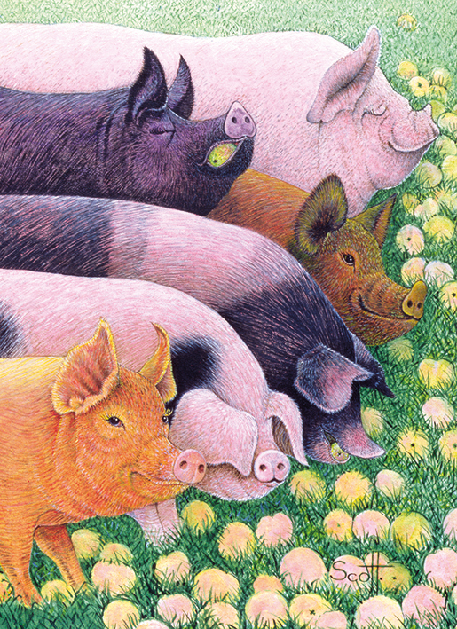 Happy Pigs Greeting Card
