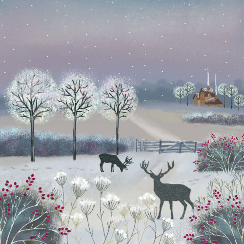 Frosty Night Age UK Christmas Pack (10)