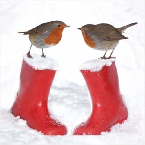 Robin & Red Boots, Help for Heroes Christmas Card Pack (10)