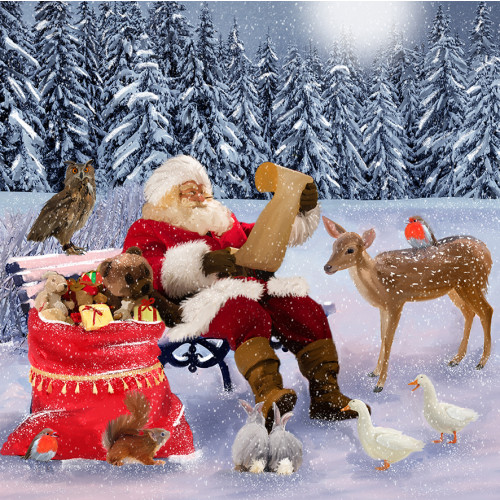 Christmas List British Heart Foundation Christmas Pack (10)