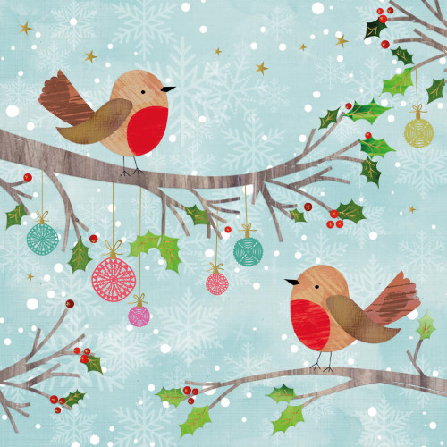 Festive Time Diabetes UK Christmas Pack (10)