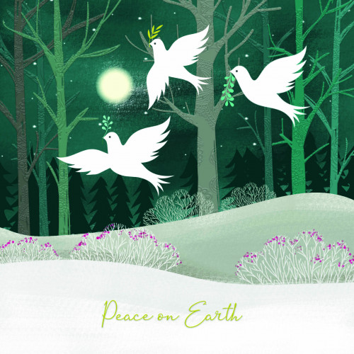 Bringing Peace MS UK Christmas Pack (10)
