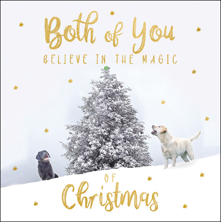 Snow Dogs Both of You Christmas Card