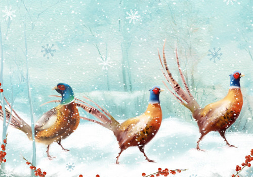 Three Pheasants Mind Christmas Pack (10)