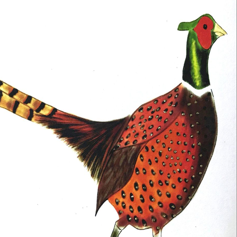 Fancy Pheasant Greeting Card