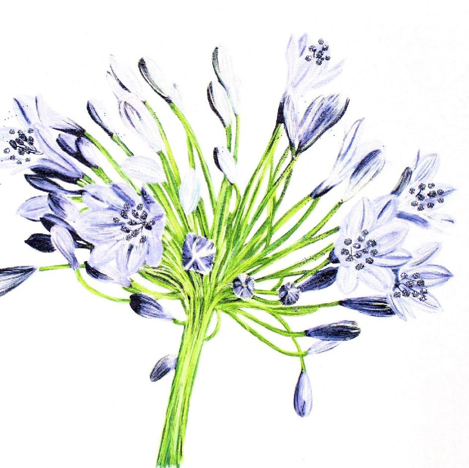 Purple Flower Bunch Greeting Card