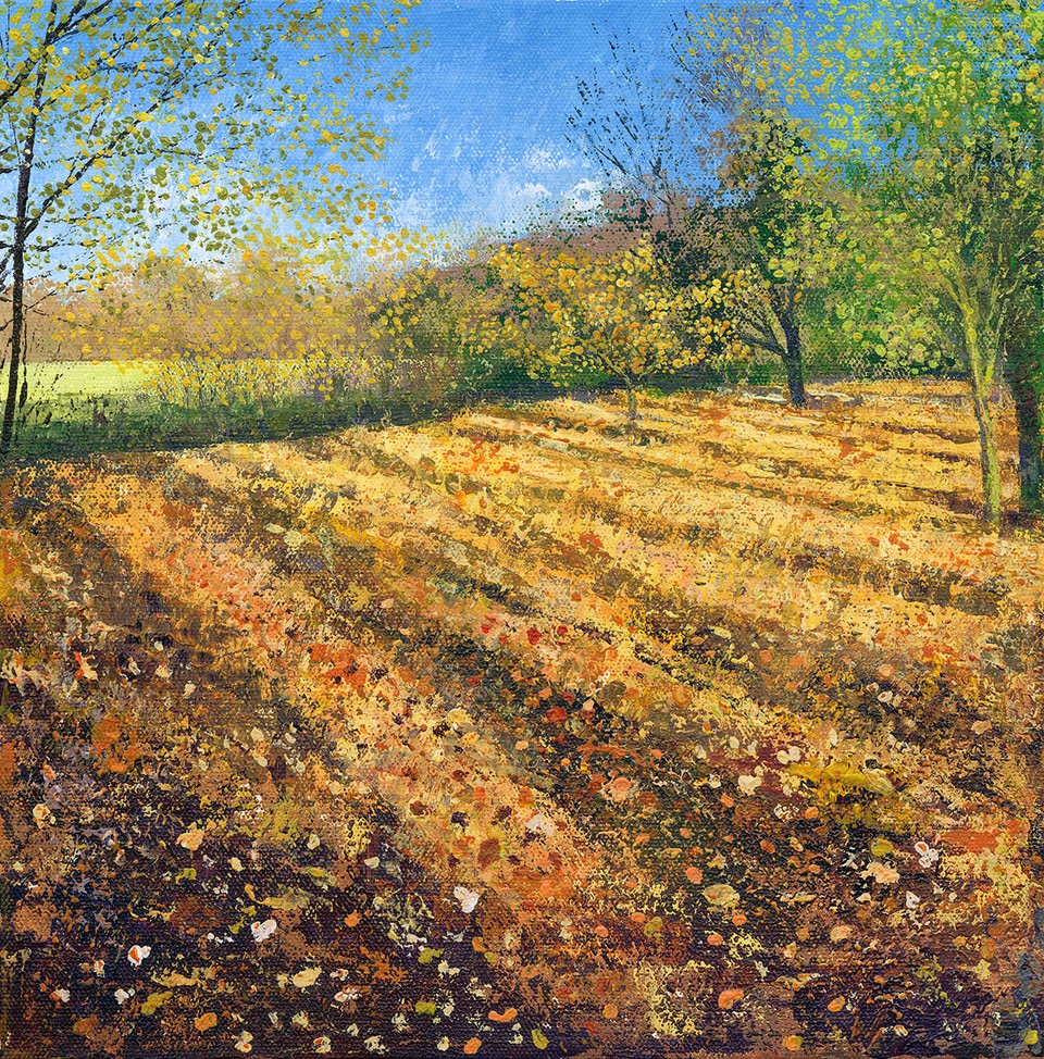 Golden Light Greeting Card