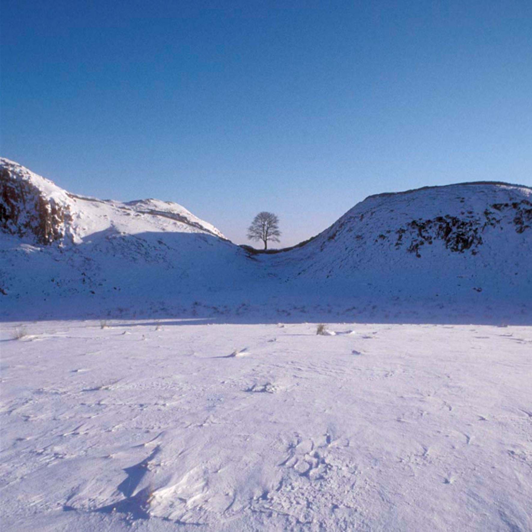 Snowy Sycamore Gap Christmas Card Pack (10)