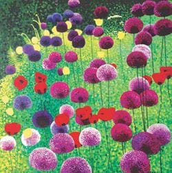 Alliums and Poppies Greeting Card