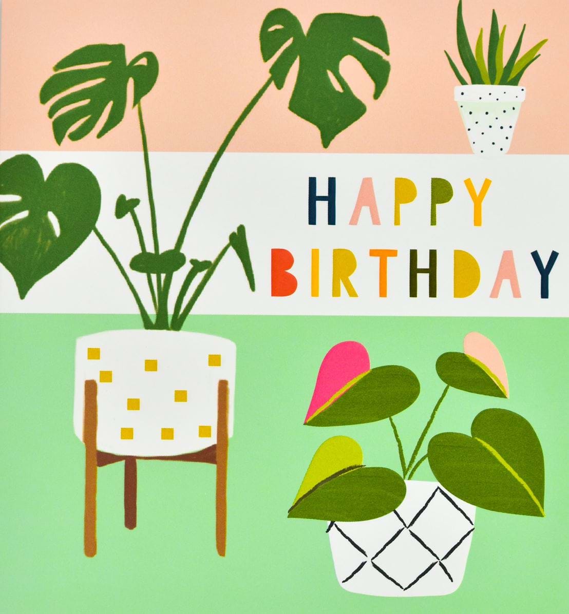 Potted Plants Birthday Card