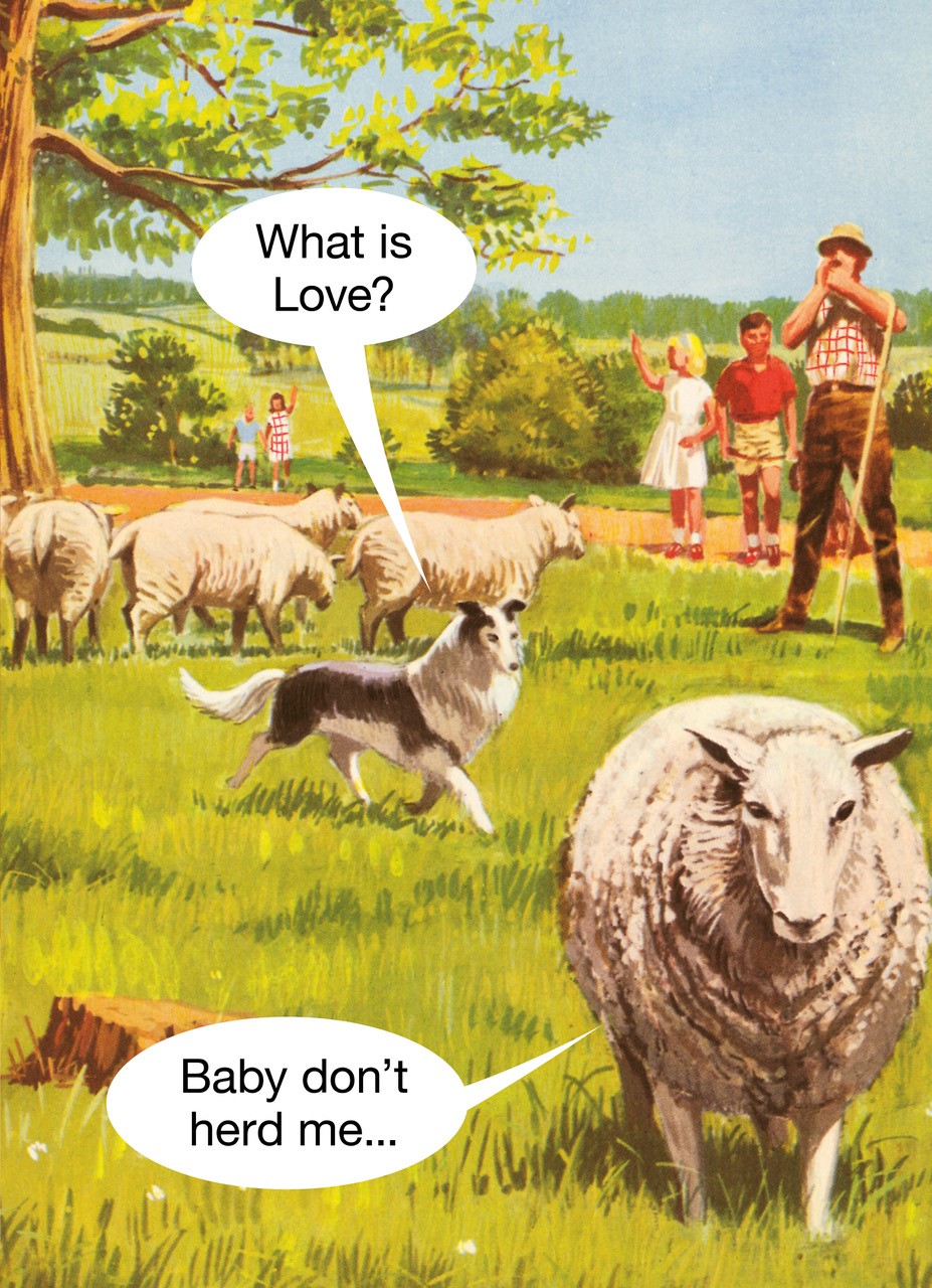 Herd Me Greeting Card