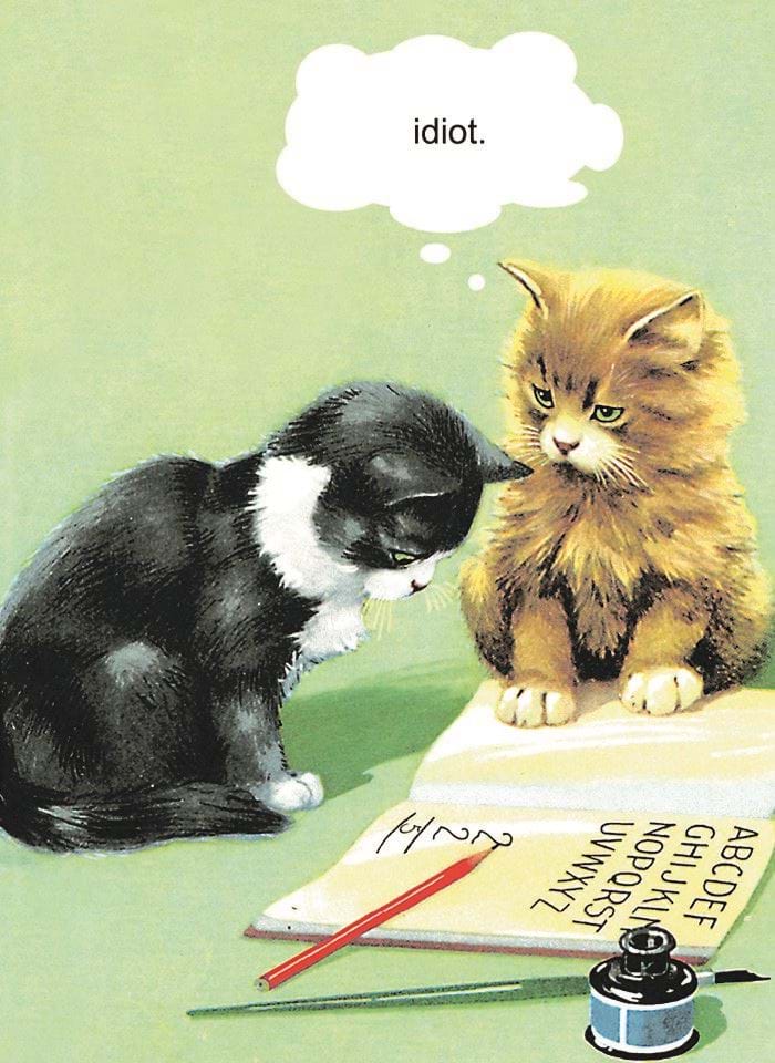 Idiot Greeting Card