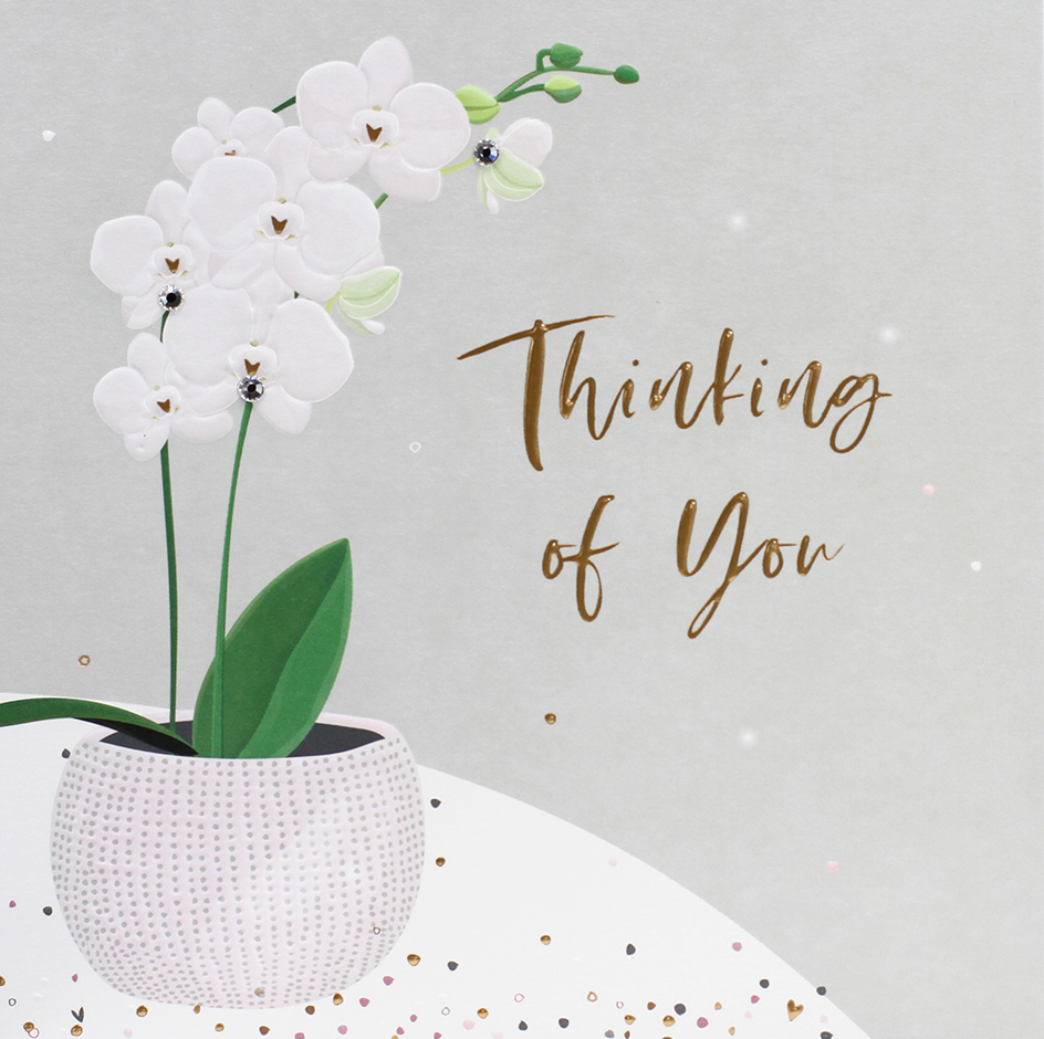 White Orchid Thinking of You Card