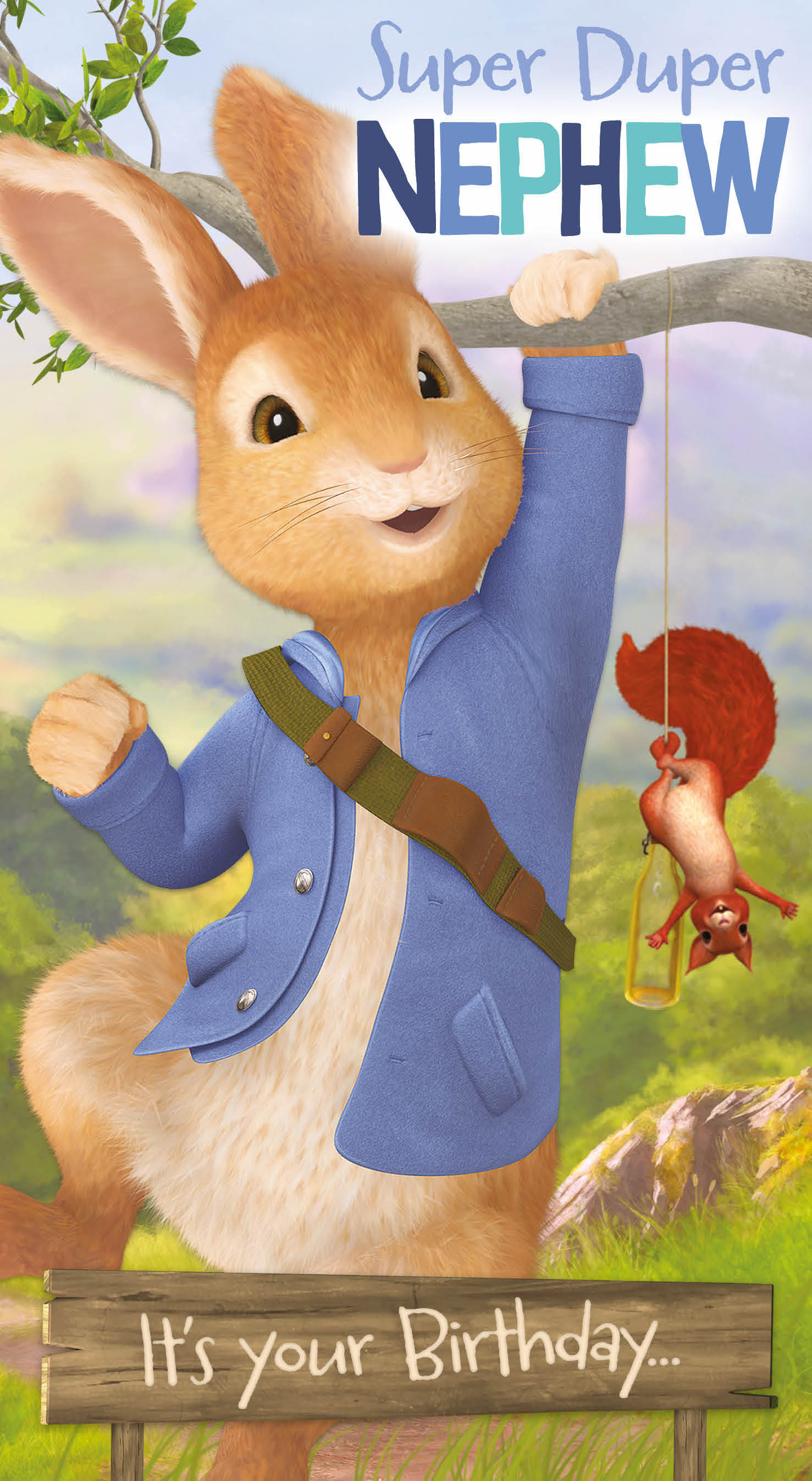 Peter Rabbit Nephew Birthday Card