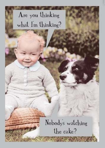 Nobody's Watching the Cake Birthday Card