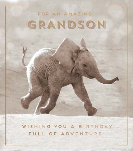 Elephant Grandson Birthday Card