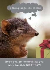 Cheese Birthday Card