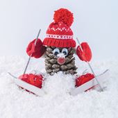 Al-Pine Skier Christmas Card
