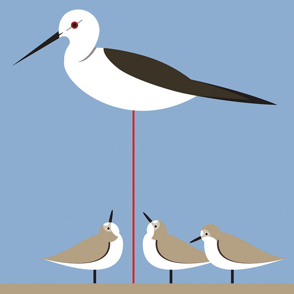 Red Legs Greeting Card