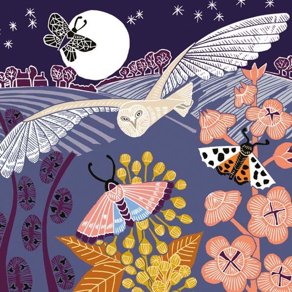 Owl and Butterfly Greeting Card