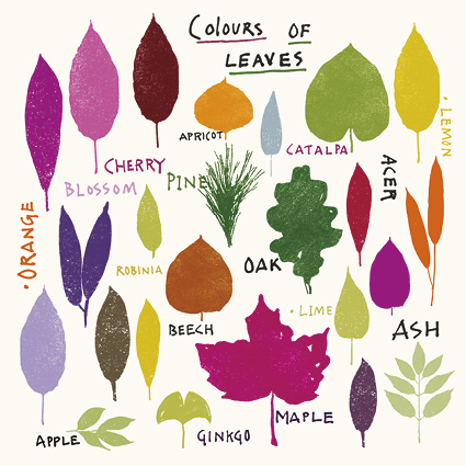 Leaves Greeting Card