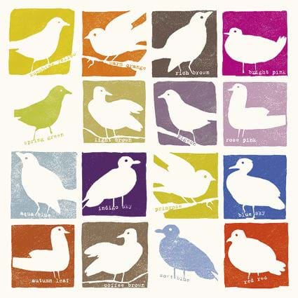 Colourful Birds Greeting Card