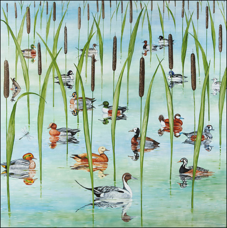Pond Life Greeting Card
