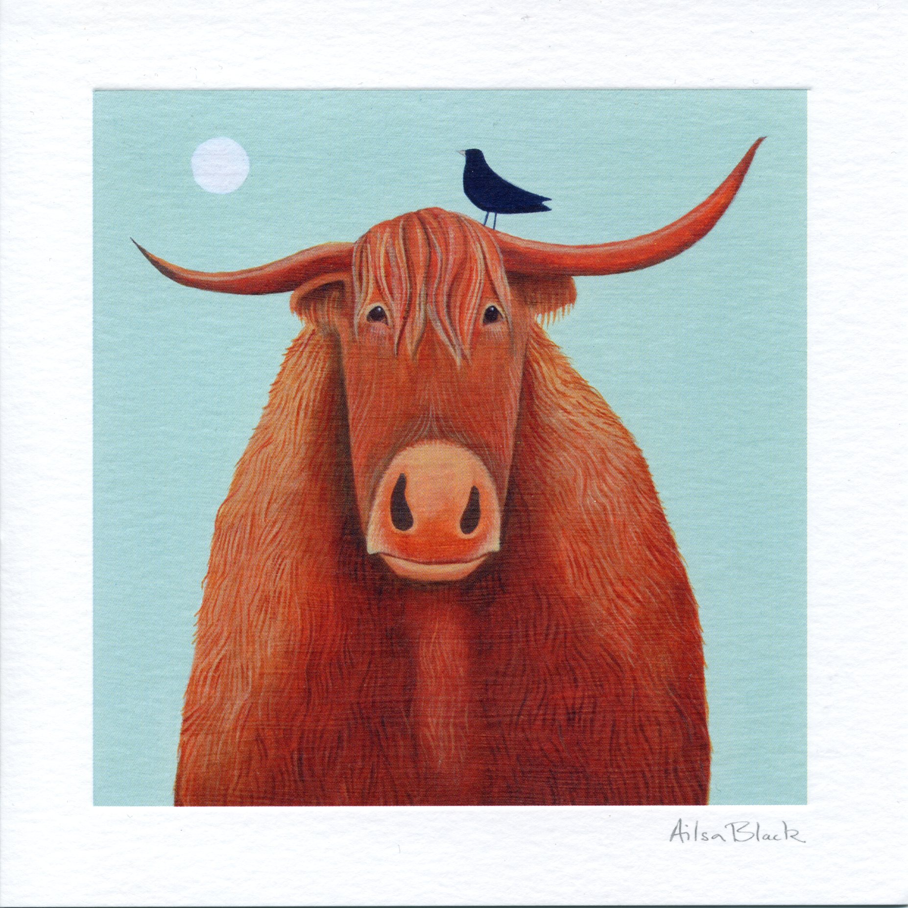 Broon Coo Greeting Card