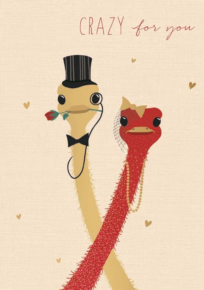 Crazy Ostrich Valentine's Day Card