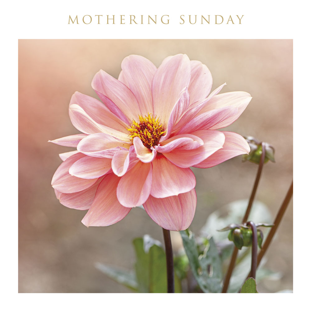 Pink Flower Mothering Sunday Card