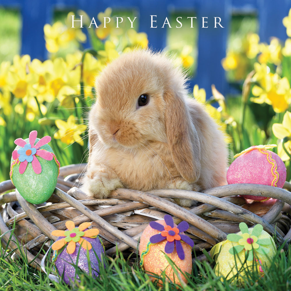 Bunny in a Basket Easter Card