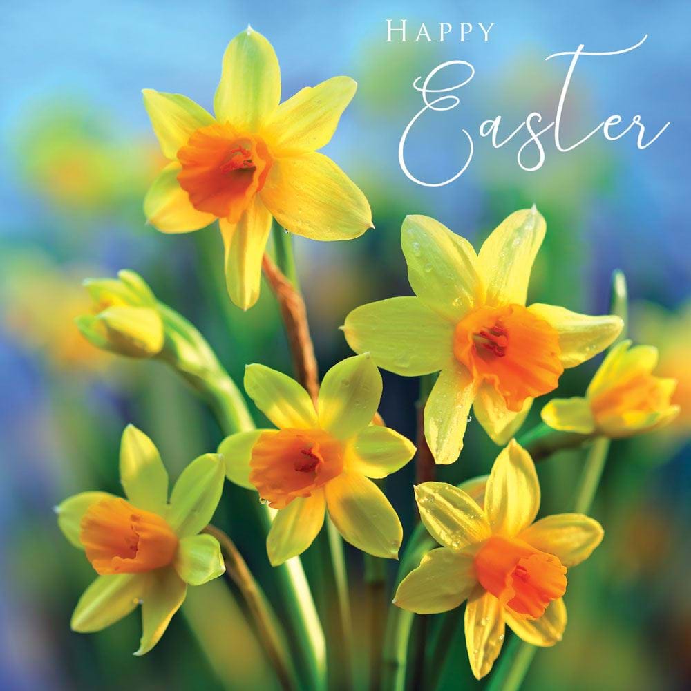 Daffodils Easter Card