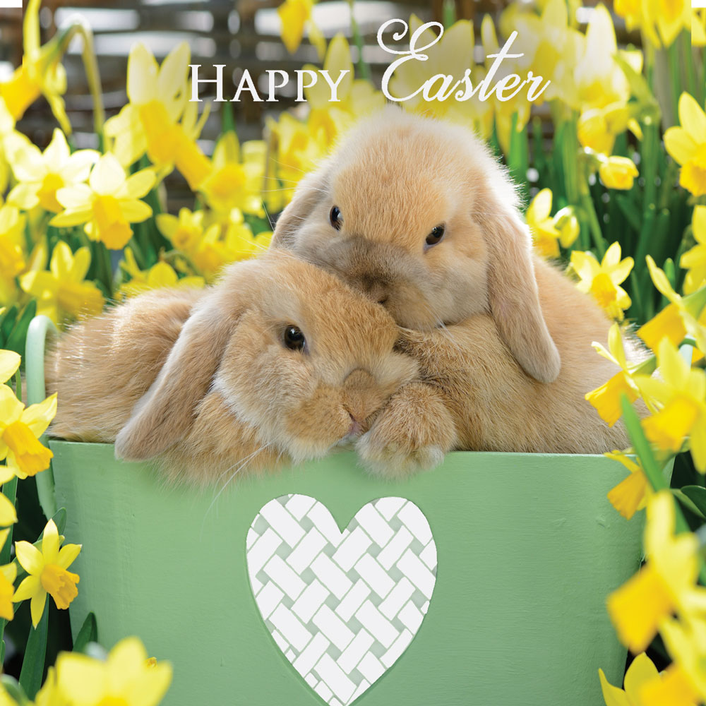 Cuddling Bunnies Easter Card Pack (5)