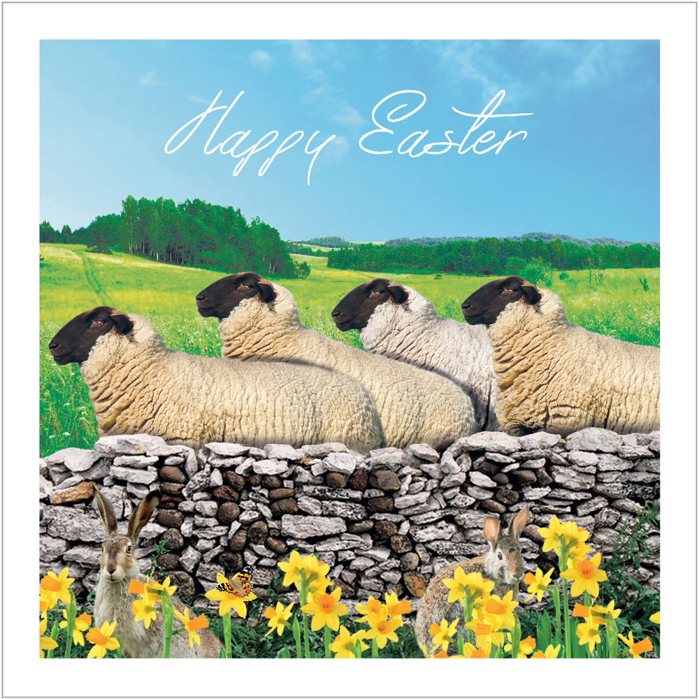 Countryside Sheep Easter Card Pack (5)